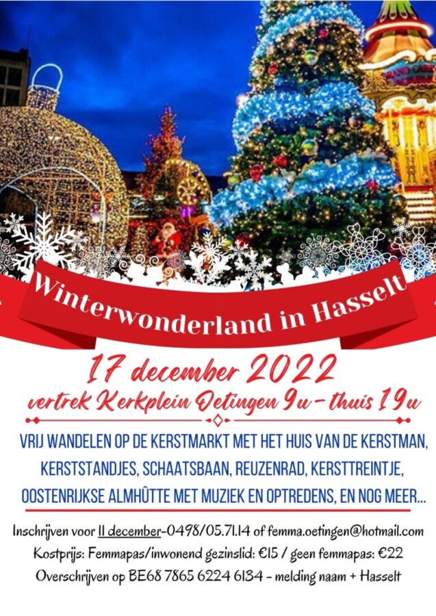 Winterwonderland in Hasselt