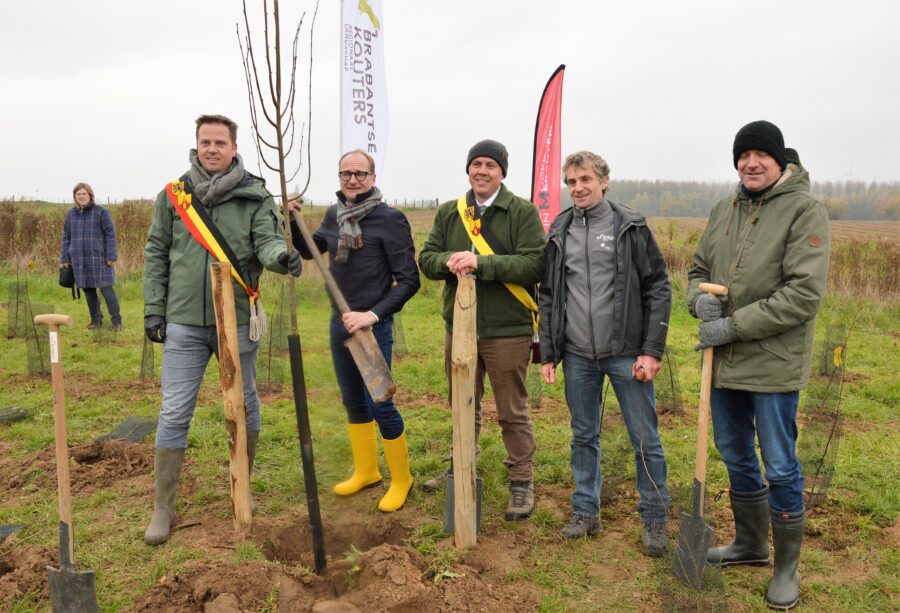 Aanplanting van nieuw bos in Brussegem begonnen