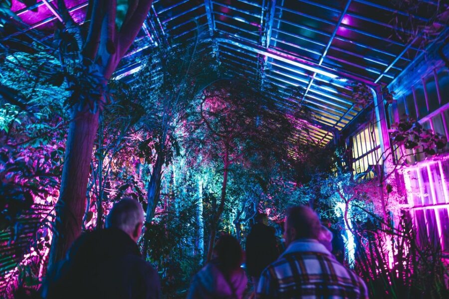 Betoverend lichtfestival WinterFloridylle in Plantentuin