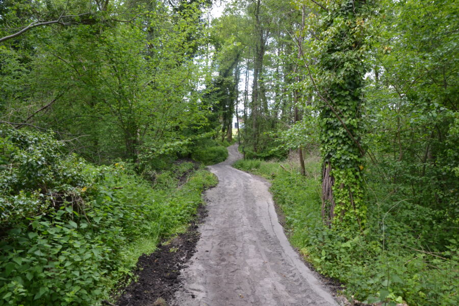 Wandelweg aan Mollemse Kloosterbeekbos plots verbreed en verhard
