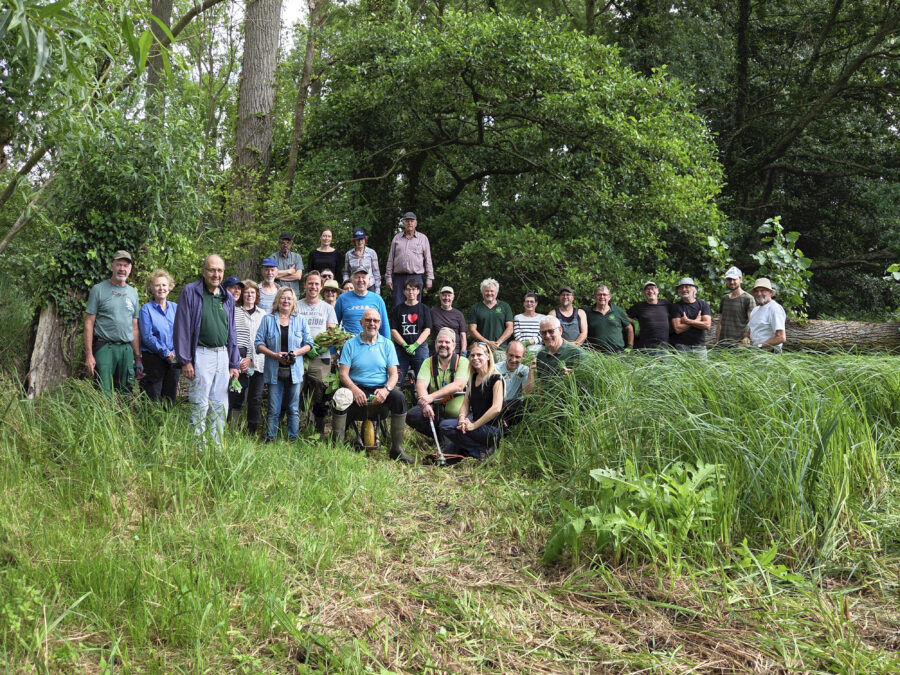 Natuurpunt verenigd in de strijd tegen reuzebalsemien