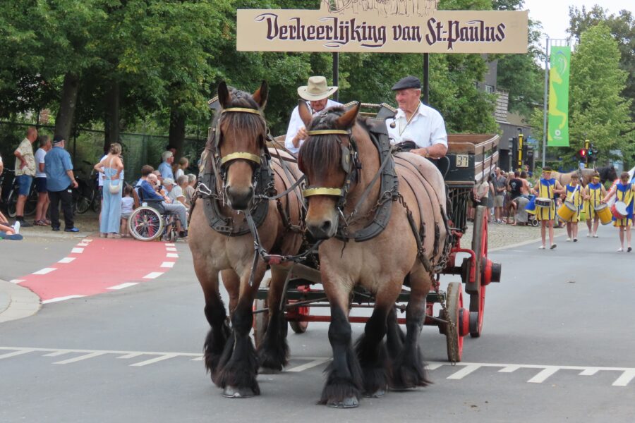 Sint-Paulus Paardenprocessie blijft schitteren
