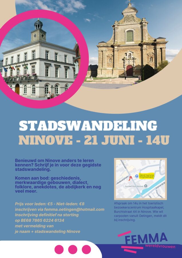 Stadswandeling met gids in Ninove