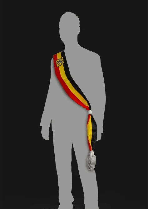 10% van de Vlaamse burgemeesters heeft vastgoedbelangen of andere.