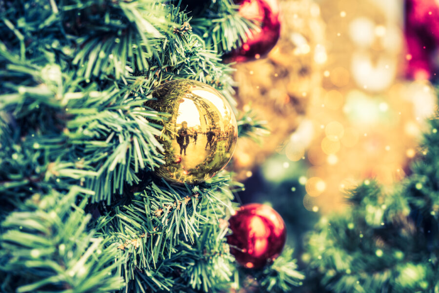 Gratis kerstboom voor handelaars