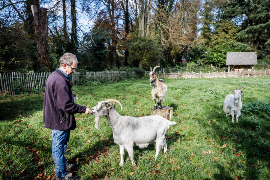 Honden bijten geitjes dood aan MOT