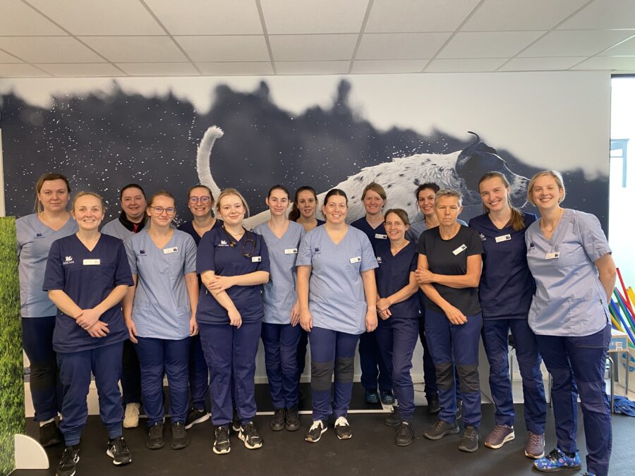 AniCura opent nieuwe dierenartsenpraktijk