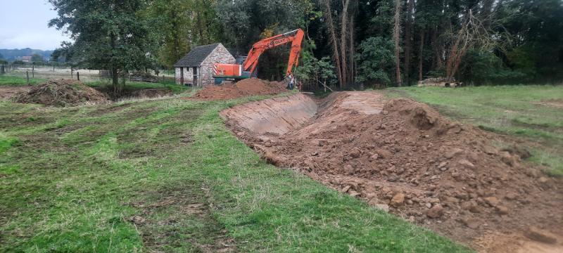 Herstel van de Mierenbeek in Merchtem: een boost voor biodiversiteit en klimaatbestendigheid