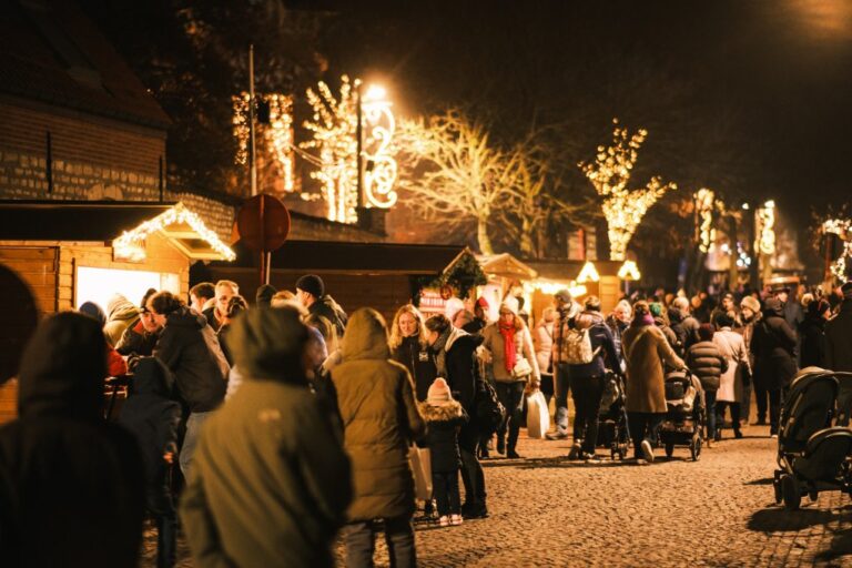 Driedaagse kerstmarkt palmt centrum in
