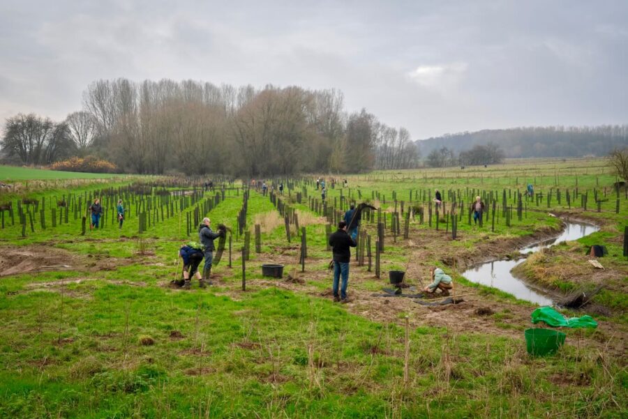 Hopduvelcomité plant nieuw bos in Asse