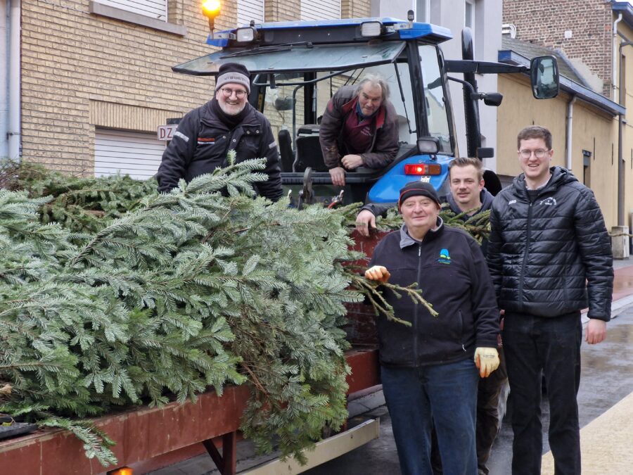 Bizon schenkt Stationsstraat opnieuw kerstbomen