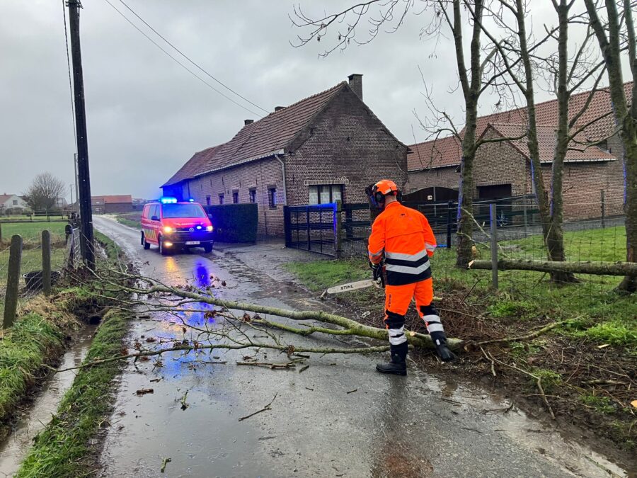 Brandweer heeft handen vol met ruimingswerken door storm Goretti: “Maar geen ernstige incidenten”
