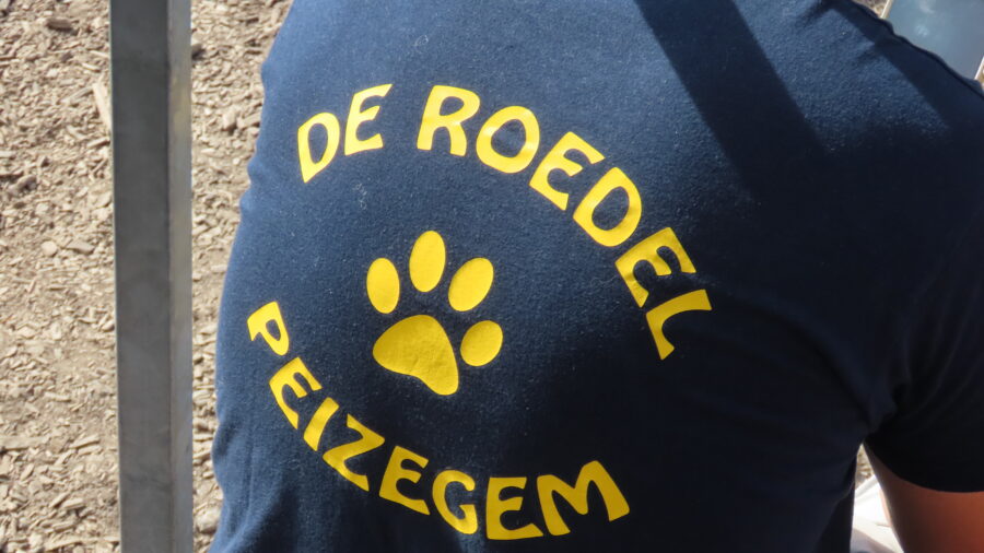 Hondenschool De Roedel vreest voor mogelijke sluiting van haar terrein