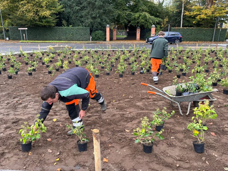 Gemeente Asse gaat vergroenen en streeft in klimaatplan om 1m² ontharding per inwoner.