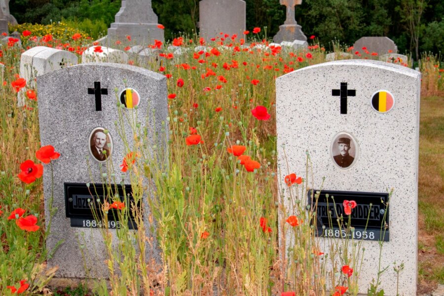 Renovatiewerken perk oud-strijders op de begraafplaats Mollem