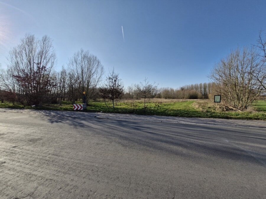 Bijkomend natuuronderzoek en procedure gemeentewegen voor project Vetweyde